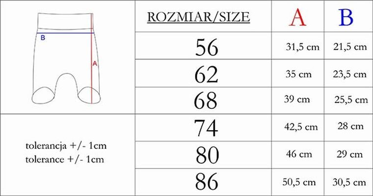 Półśpiochy chłopięce, szare, Nicol