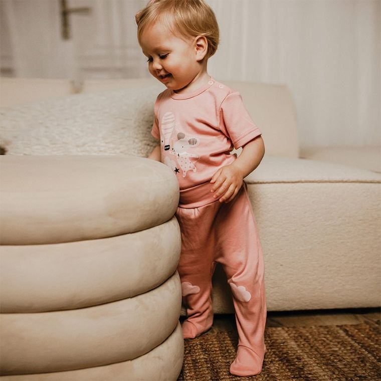 Półśpiochy dziewczęce, różowe, Eevi