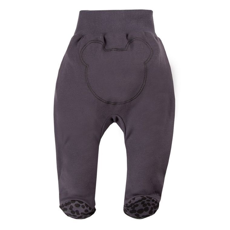 Półśpiochy niemowlęce, ciemnoszare, Eevi