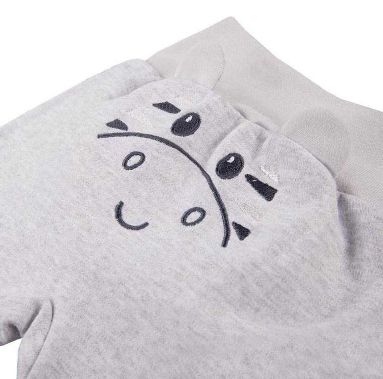 Półśpiochy niemowlęce, szare, Eevi