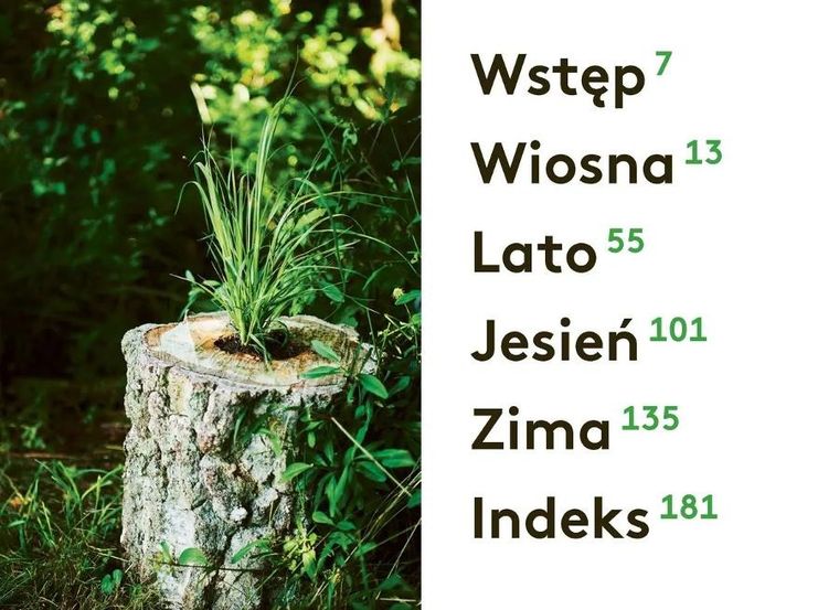 Pomysłowy ogrodnik. 70 sprytnych i przyjaznych dla środowiska pomysłów do ogrodu