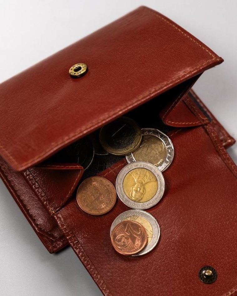 Portfel, brązowy, skórzany, Peterson