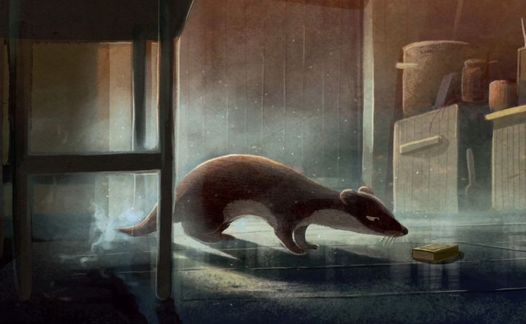 Pożyczalscy na wyspie