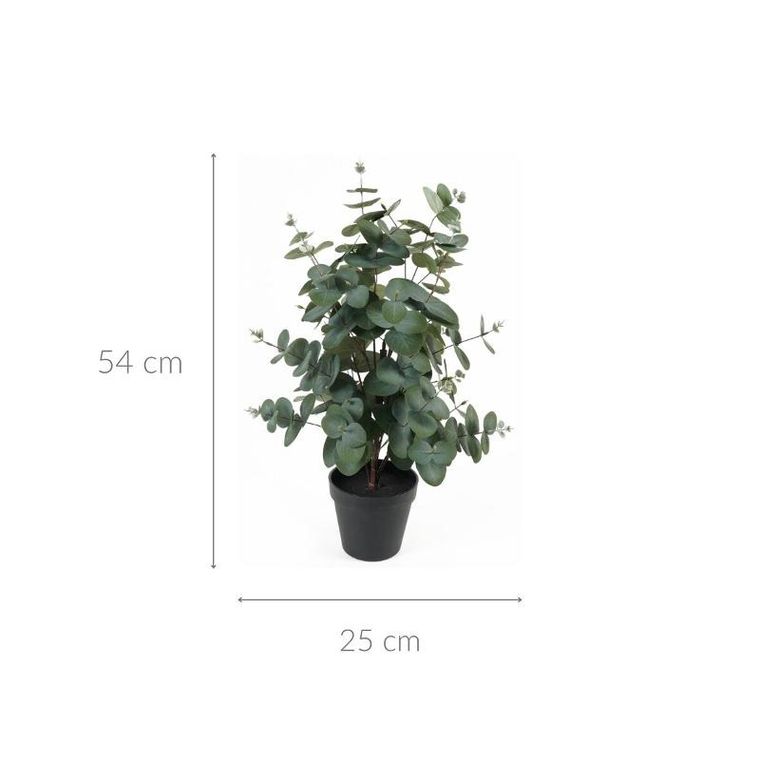 Present Time, sztuczny Eukaliptus w doniczce, Eden, 54 cm