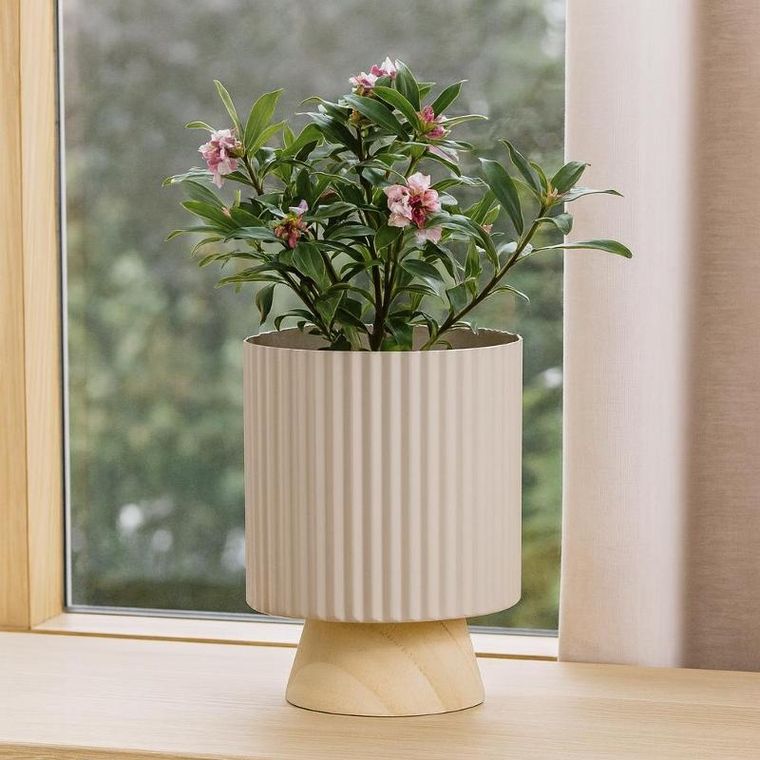 ProGarden, Stöda, metalowa doniczka z drewnianą podstawką, 18-23 cm