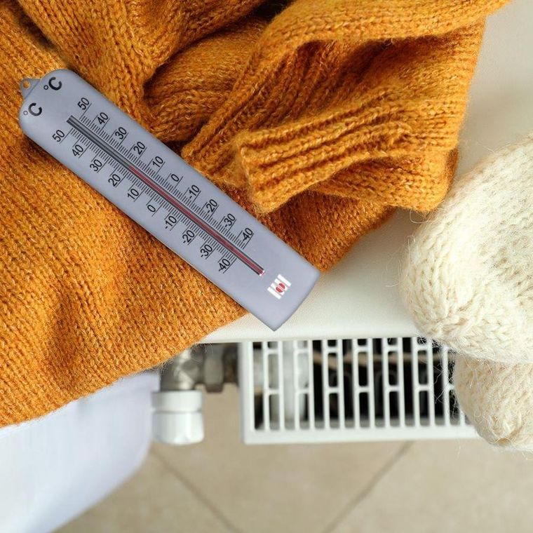 ProGarden, termometr uniwersalny, ścienny