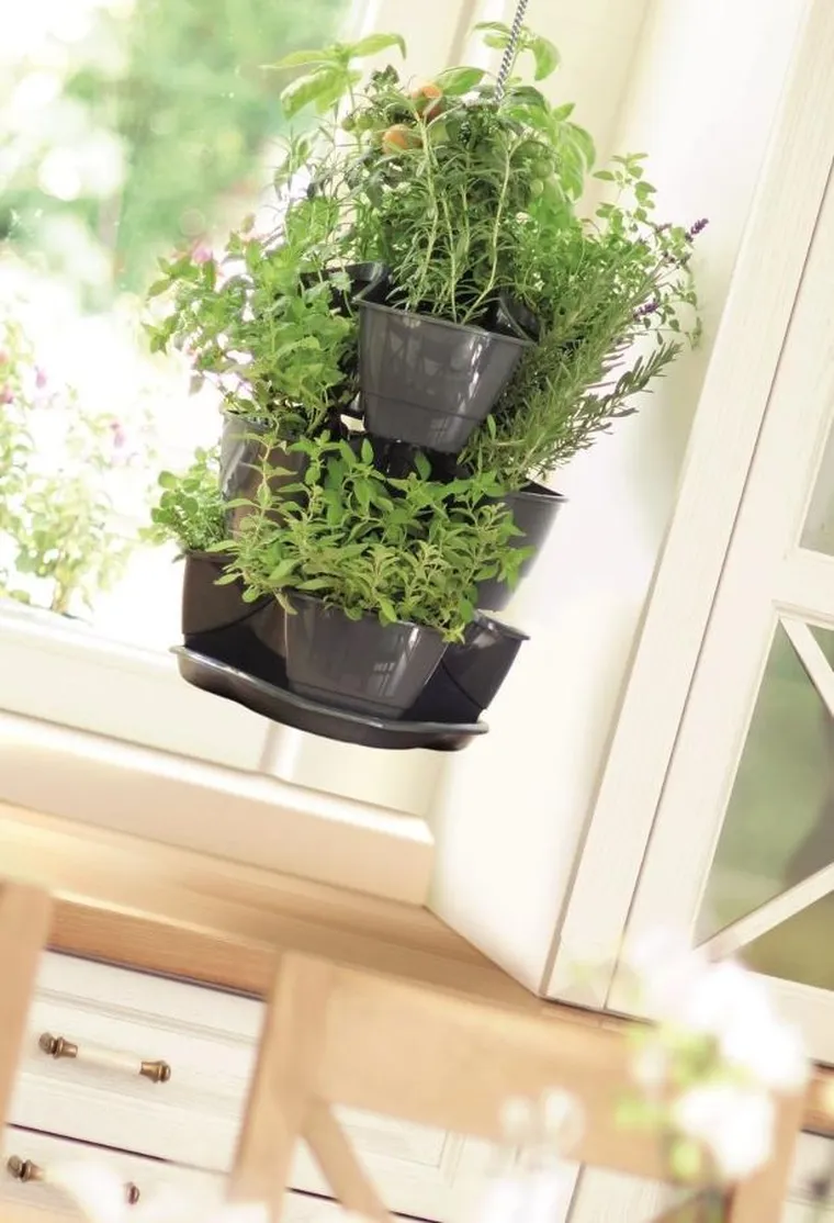 Prosperplast, doniczka kaskadowa do ziół, grafit