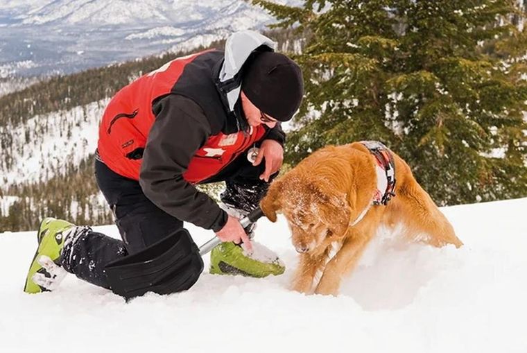 Prosperplast, łopata do śniegu samochodowa teleskopowa, everest, 68,5-71,5-82 cm