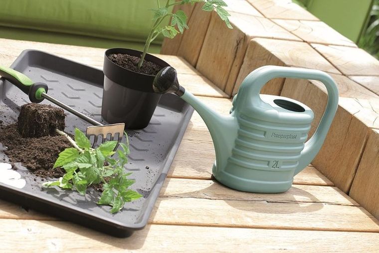 Prosperplast, Zebra, konewka, antracytowa, 5l