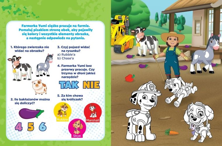 Psi Patrol. Dzień pełen wyzwań. Wodne zabawy