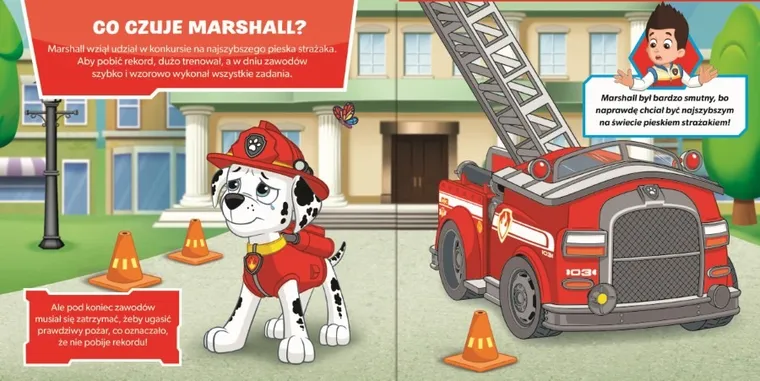 Psi Patrol. Uczucia. Ważne uczucia