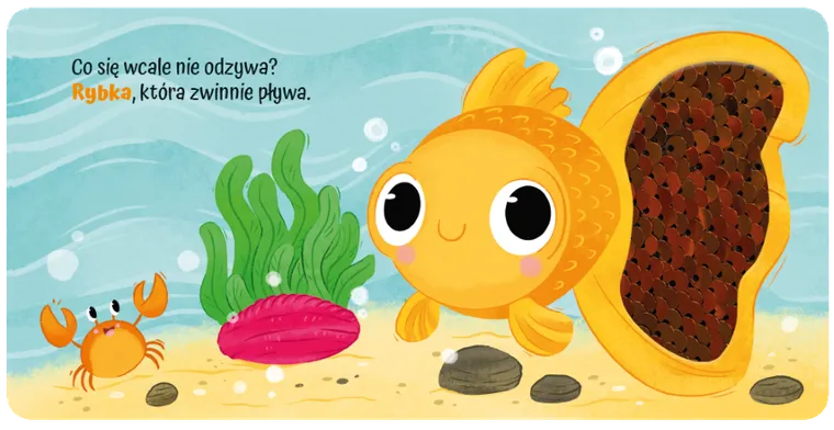 Pupile. Dotykam poznaję