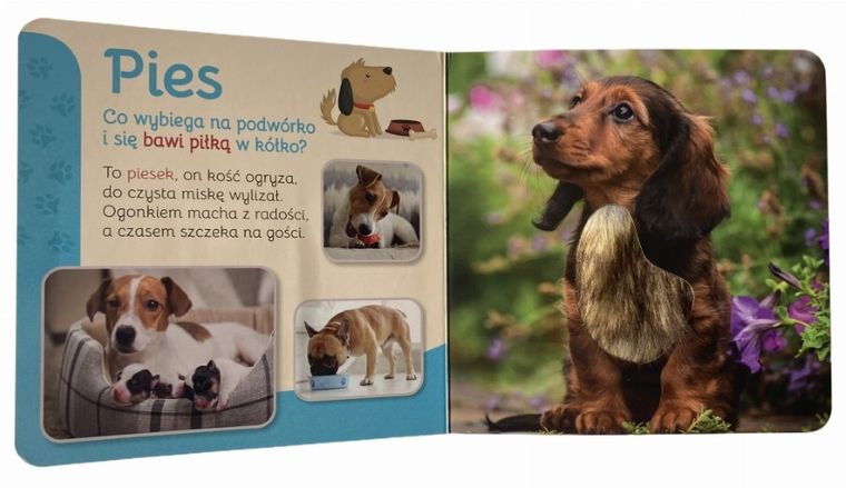 Pupile. Przytul mnie