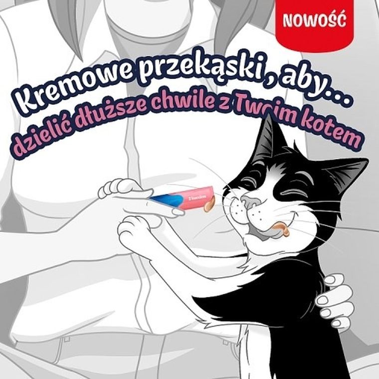 Purina, Felix, Deli Moments, łosoś, przysmak dla kota, 4-10g