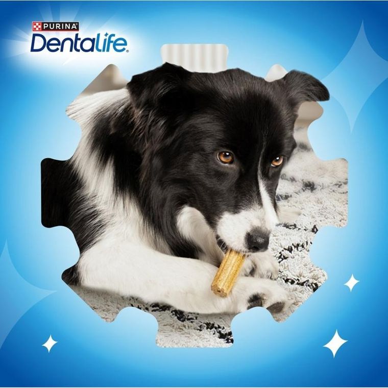 Purina Nestle, Dentalife Extra Mini, przekąska dentystyczna dla psa, 69 g