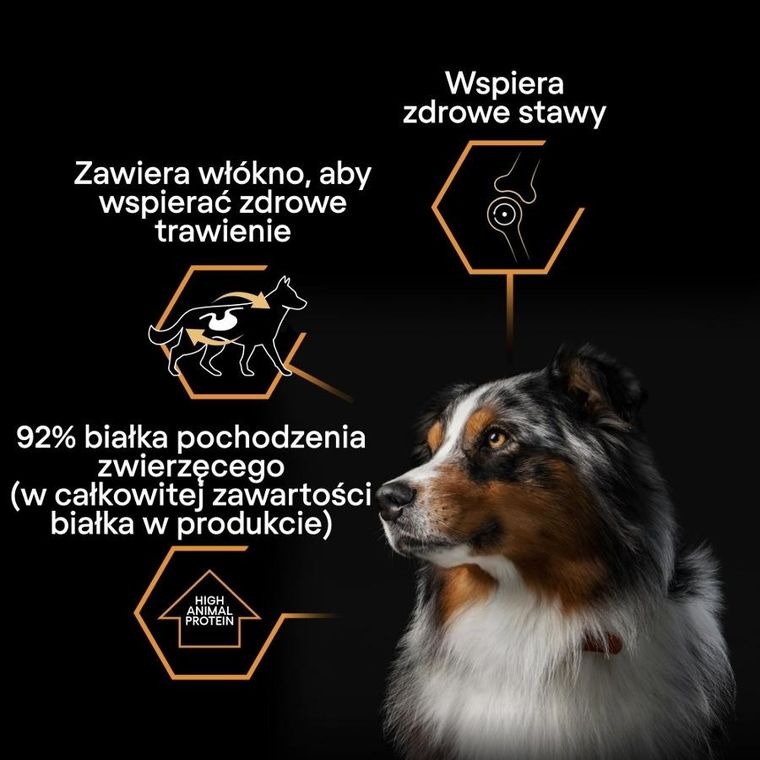 Purina, Pro Plan, Indyk w galarecie, mokra karma dla psów dorosłych, 400g