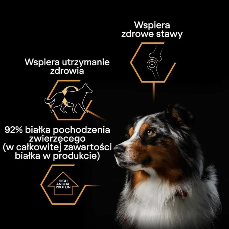 Purina, Pro Plan, Ryba w galarecie, mokra karma dla psów dorosłych, 400g