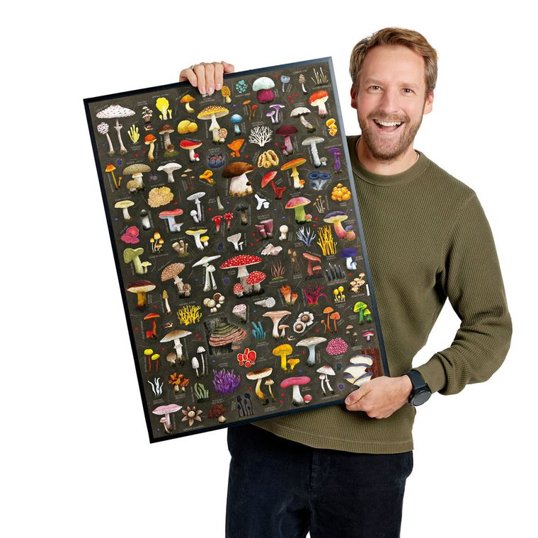 Puzzlove, CzuCzu, Grzyby, puzzle, 1000 elementów