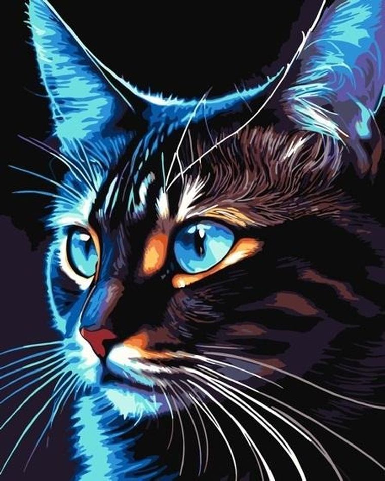 Qbee, malowanie po numerach, Cosmo-cat, 40-50 cm