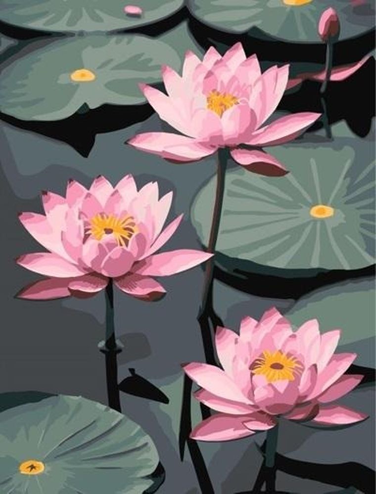 Qbee, malowanie po numerach, Kruche Lotosy, 30-40 cm