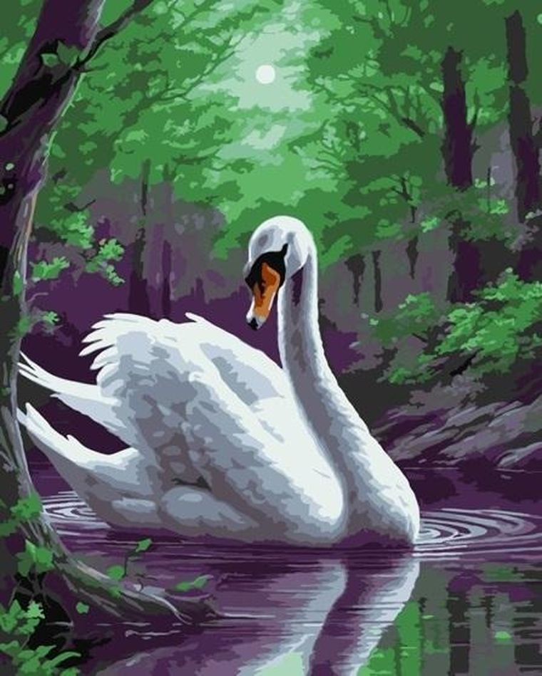 Qbee, malowanie po numerach, Magiczny łabędź, 40-50 cm