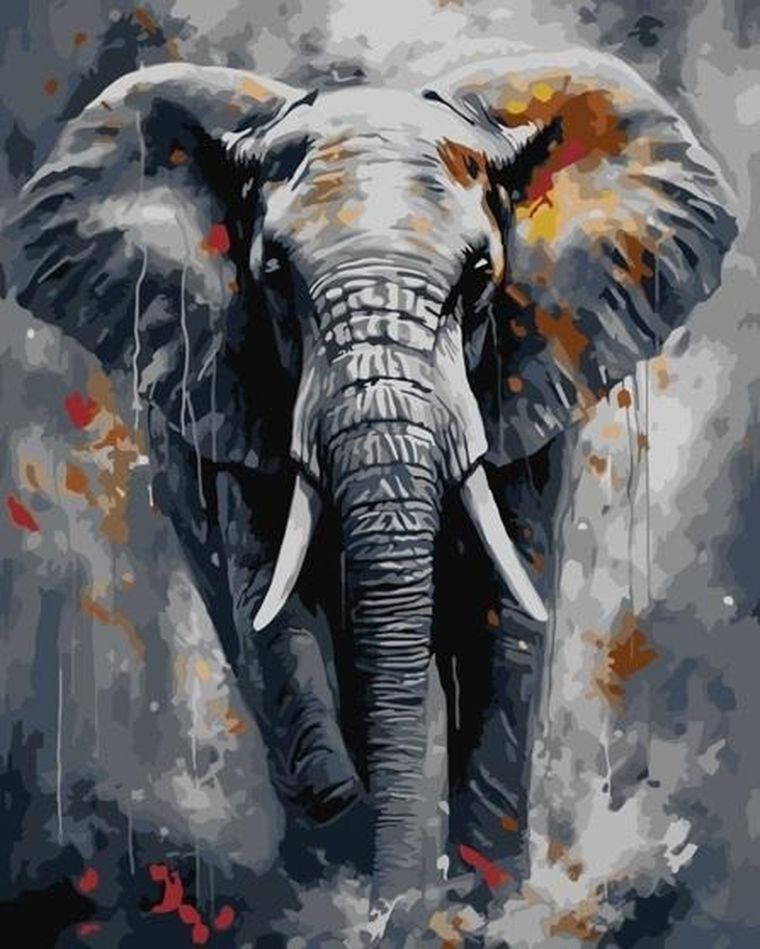 Qbee, malowanie po numerach, Majestatyczny słoń, 40-50 cm