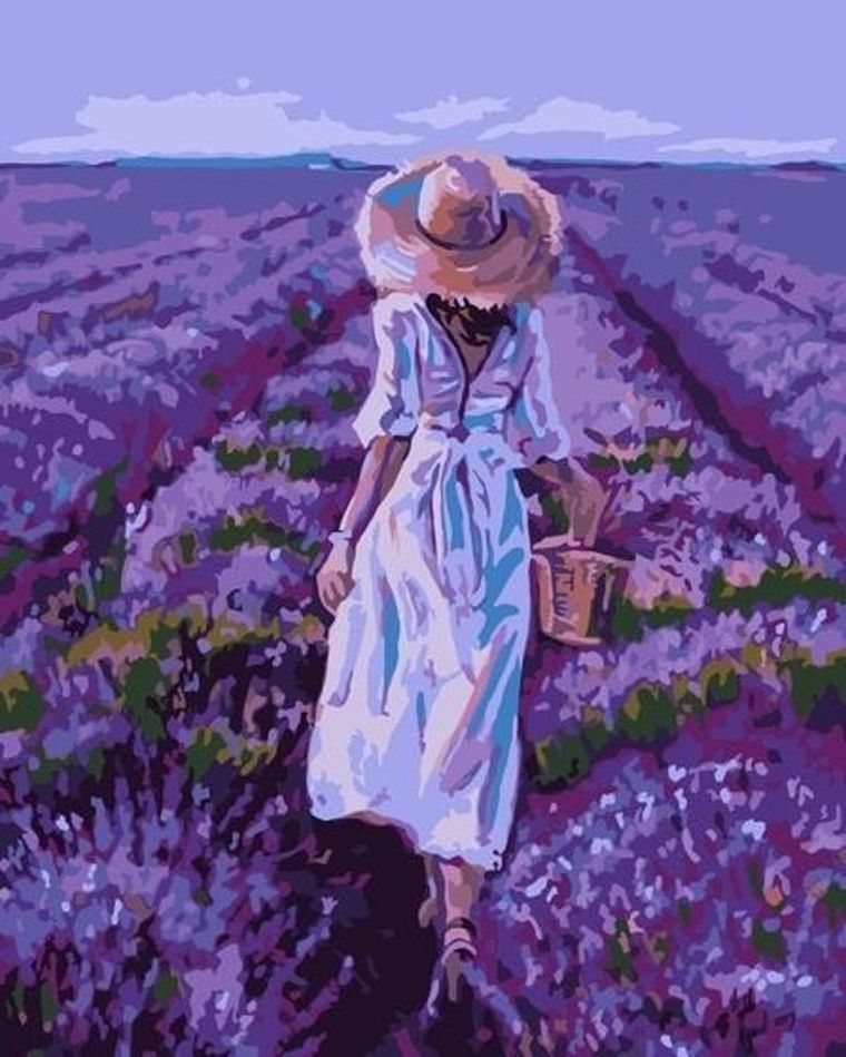 Qbee, malowanie po numerach, Pole lawendy, 40-50 cm