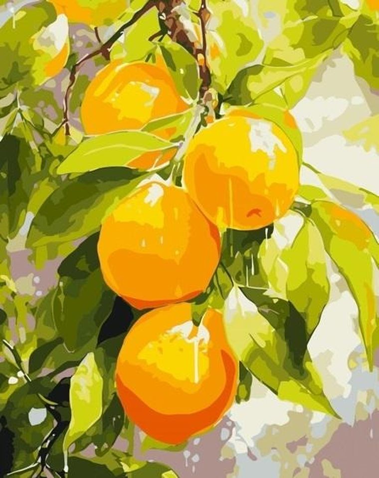 Qbee, malowanie po numerach, Soczyste cytryny, 40-50 cm