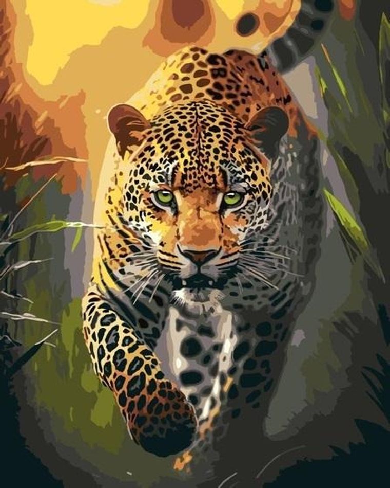 Qbee, malowanie po numerach, Wdzięku drapieżnika, 40-50 cm