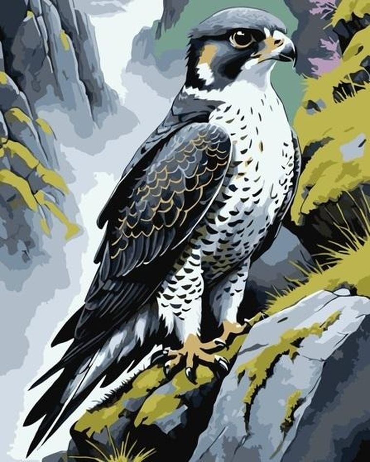 Qbee, malowanie po numerach, Wędrowiec na skale, 40-50 cm