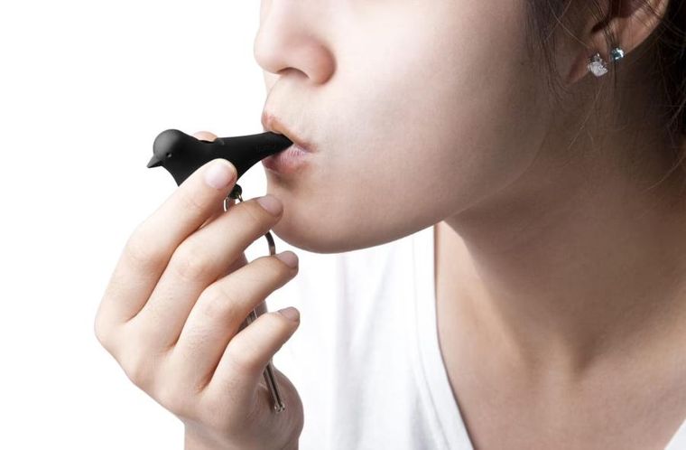 Qualy, wieszak na klucze, budka, brązowo-czarny