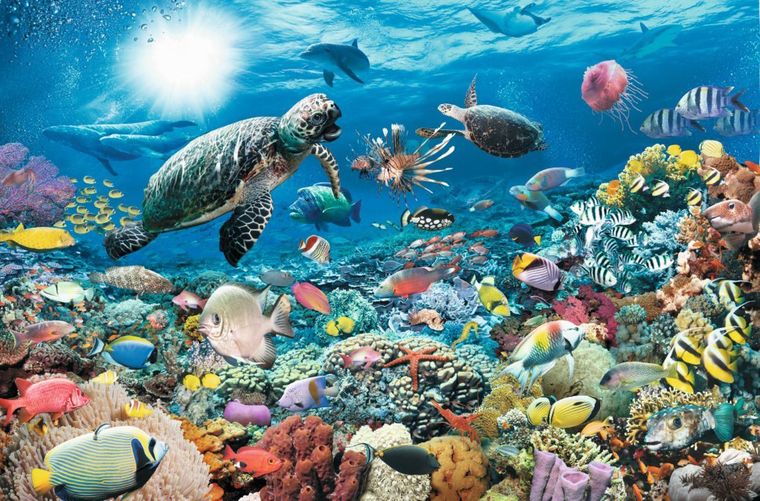 Ravensburger, Głębia Oceanu, puzzle, 5000 elementów