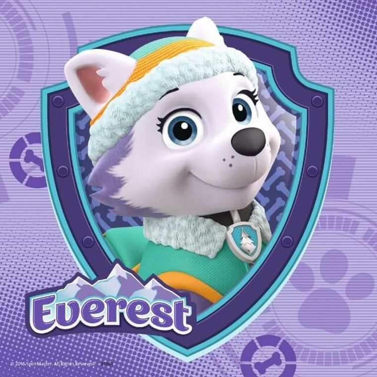 Ravensburger, Psi Patrol Skye&Everest, puzzle, 3-49 elementów