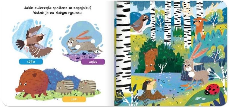 Raz, dwa, trzy – szukam! W lesie