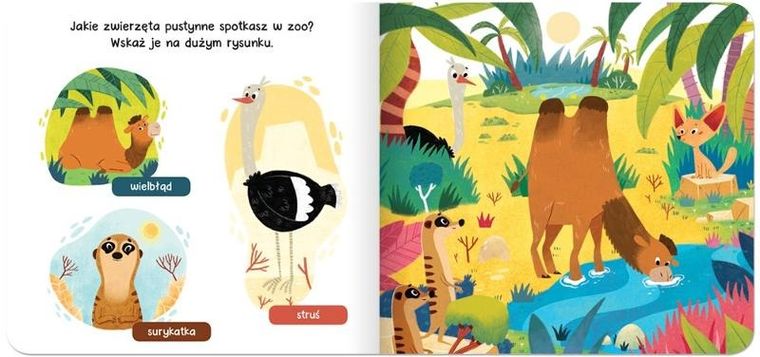 Raz, dwa, trzy – szukam! W zoo