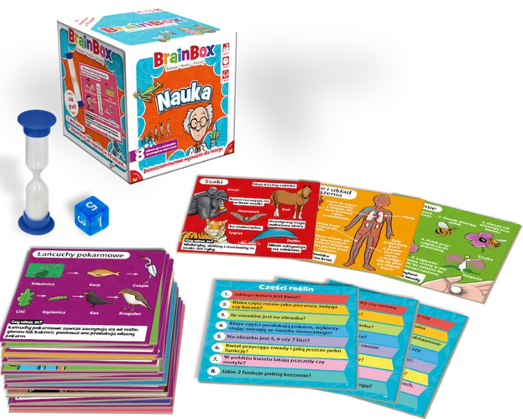 Rebel, BrainBox, Nauka, gra edukacyjna