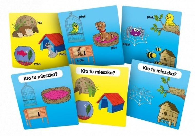 Rebel, BrainBox, Poznaję domy zwierząt, gra edukacyjna