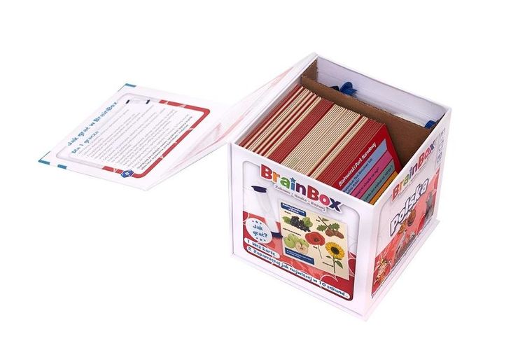 Rebel, Gra, Brainbox: Polska, gra edukacyjna