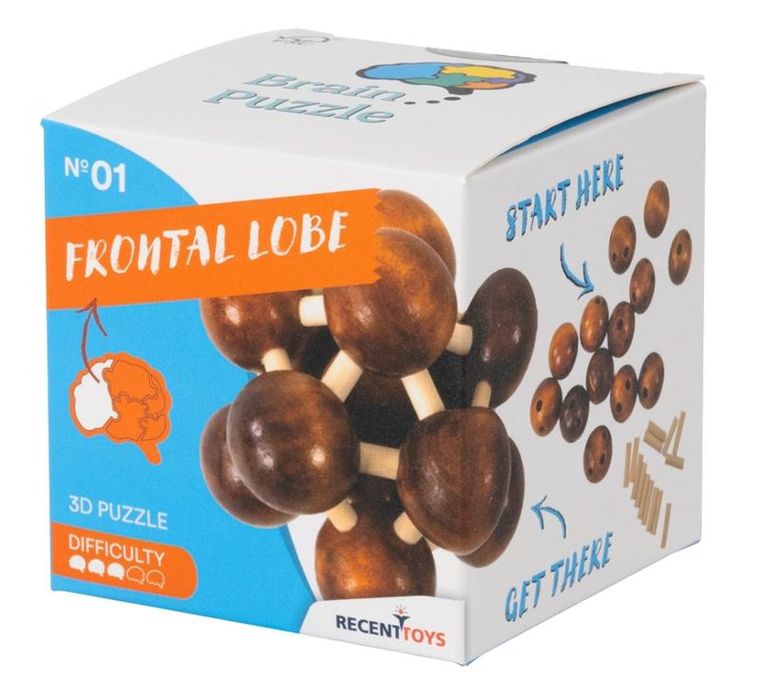 Recent Toys, Frontal Lobe, łamigłówka, poziom 3/5