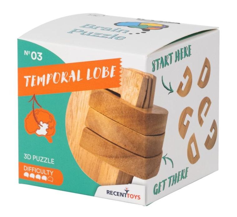 Recent Toys, Temporal Lobe, łamigłówka, poziom 4/5