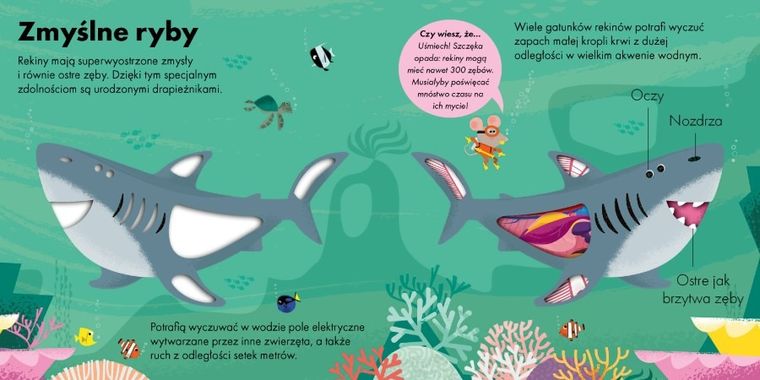 Rekin. Jak to działa