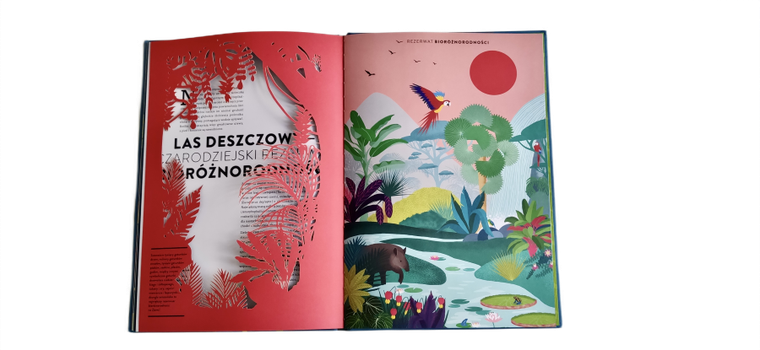 Rośliny. Cuda natury na wyjątkowych ażurowych rycinach