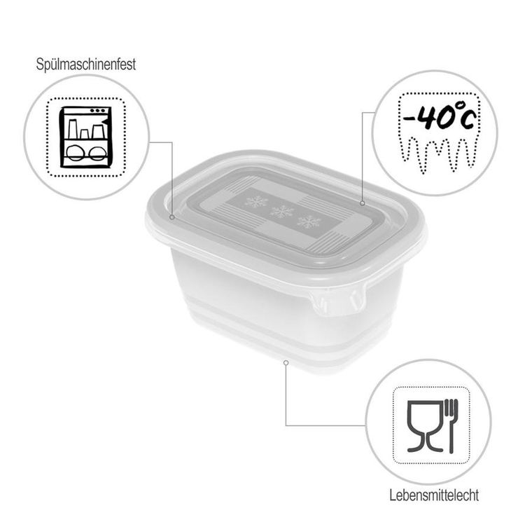 Rotho, Freeze, zestaw pojemników do mrożenia, 6 x 0,25l