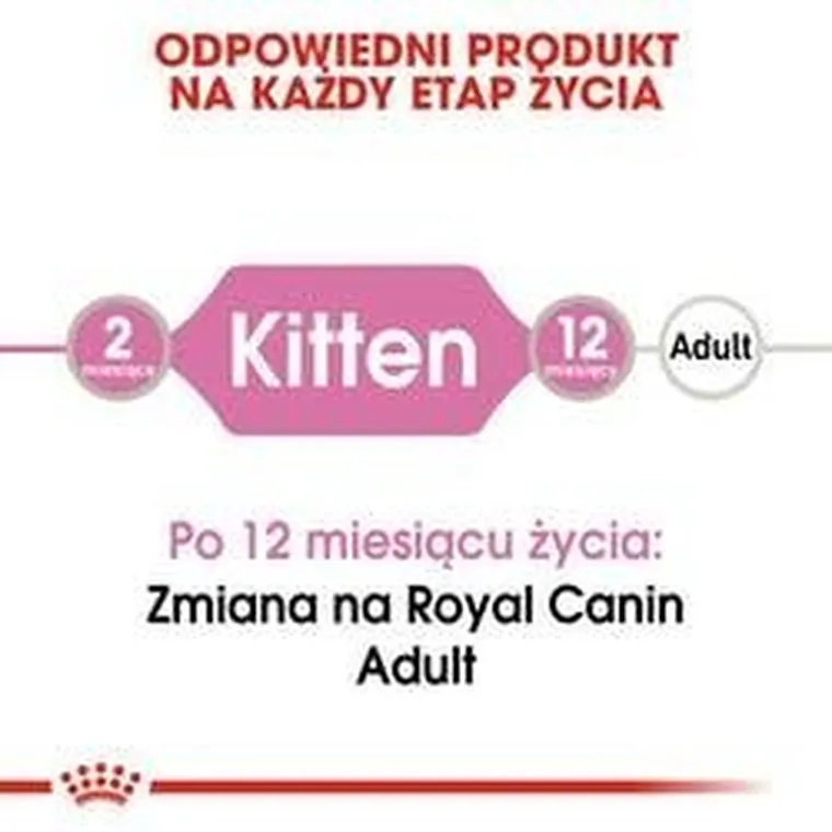 Royal Canin, Cat Kitten Food Jelly Pouch, karma mokra dla kota, 12 x 85g
