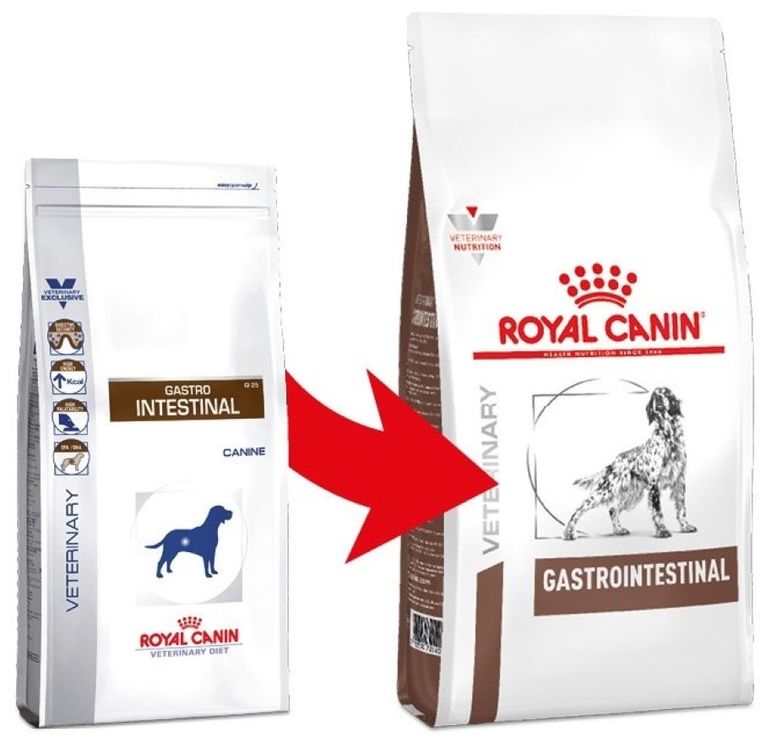 Royal Canin, Gastro Intestinal Canine, karma dla psa, 15 kg