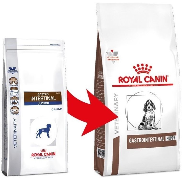 Royal Canin, Gastrointestinal Puppy, Junior Canine, karma dla szczeniąt, 1 kg