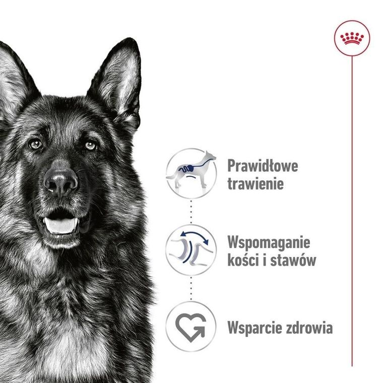 Royal Canin, SHN Maxi Adult Loaf, 410g