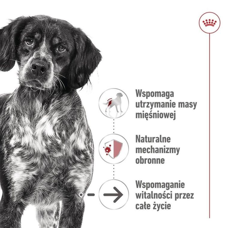 Royal Canin, SHN Medium Ageing Loaf, 410g