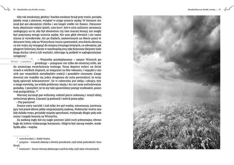 Rozdziobią nas kruki, wrony... Wydanie z opracowaniem i streszczeniem