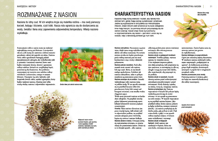 Rozmnażanie roślin. Przewodnik krok po kroku